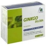 GINKGO 100 mg Kapseln+B1+C+E 192 St