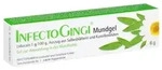 INFECTOGINGI Mundgel 6 g