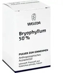 BRYOPHYLLUM 50% Pulver zum Einnehmen 20 g