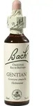 BACHBL&Uuml;TEN Gentian Tropfen 20 ml