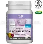 KONZENTRATION Kaugummi nach Dr.Bach 40 St