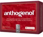 OPC ORIGINAL Masqueliers Anthogenol Kapseln 75 St