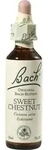 BACHBL&Uuml;TEN Sweet Chestnut Tropfen 20 ml