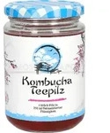 KOMBUCHA TEEPILZ 1 St