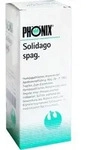 PH&Ouml;NIX SOLIDAGO spag.Mischung 100 ml
