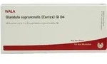 GLANDULA SUPRARENALIS cortex GL D 4 Ampullen 10 ml