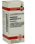 EUPATORIUM PERFOLIATUM D 12 Globuli 10 g