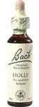 BACHBL&Uuml;TEN Holly Tropfen 20 ml