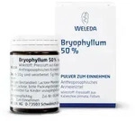 BRYOPHYLLUM 50% Pulver zum Einnehmen 50 g