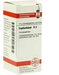 EUPHORBIUM D 4 Globuli 10 g