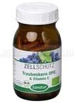 OPC TRAUBENKERN & Vitamin C Kapseln 90 St