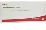 RENES/EQUISETUM comp.Ampullen 10 ml