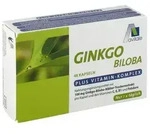 GINKGO 100 mg Kapseln+B1+C+E 48 St