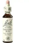 BACHBL&Uuml;TEN Chestnut Bud Tropfen 20 ml