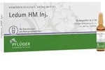 LEDUM HM Injekt Ampullen 10 St