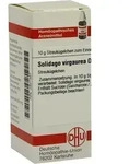 SOLIDAGO VIRGAUREA D 6 Globuli 10 g