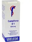 CAMPHORA D 1 Dilution 20 ml