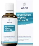 BRYOPHYLLUM ARGENTO cultum D 2 Dilution 50 ml