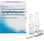 LYMPHOMYOSOT N Ampullen 10 St