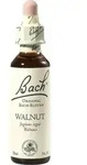BACHBL&Uuml;TEN Walnut Tropfen 20 ml