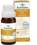 BACHBL&Uuml;TEN Murnauers Konzentrier Dich Globulini 10 g