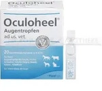 OCULOHEEL Augentropfen ad us.vet.Einzeldosispipet. 20 St