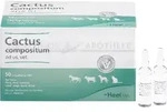 CACTUS COMPOSITUM ad us.vet.Ampullen 50 St