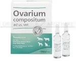 OVARIUM COMPOSITUM ad us.vet.Ampullen 25 ml
