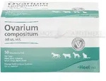 OVARIUM COMPOSITUM ad us.vet.Ampullen 250 ml