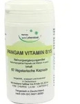 PANGAM Vitamin B15 Kapseln 60 St