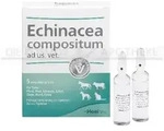 ECHINACEA COMPOSITUM ad us.vet.Ampullen 5 St