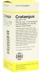 CRATAEGUS Dilution vet. 50 ml
