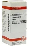 CANTHARIS D 12 Tabletten 80 St