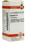 BRYONIA C 6 Globuli 10 g