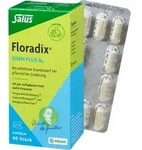 FLORADIX Eisen plus B12 vegan Kapseln 40 St