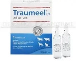 TRAUMEEL LT ad us.vet.Ampullen 25 ml