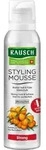 RAUSCH Styling Mousse strong Aerosol 150 ml