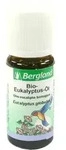 EUKALYPTUS &Ouml;L Bio 10 ml