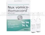 NUX VOMICA HOMACCORD ad us.vet.Ampullen 5 St