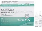 COENZYME COMPOSITUM ad us.vet.Ampullen 250 ml