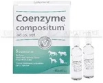 COENZYME COMPOSITUM ad us.vet.Ampullen 25 ml