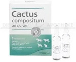 CACTUS COMPOSITUM ad us.vet.Ampullen 5 St