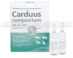 CARDUUS COMPOSITUM ad us.vet.Ampullen 25 ml