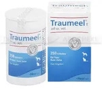 TRAUMEEL T ad us.vet.Tabletten 250 St