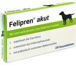 FELIPREN akut Kautabl.bei u.nach Durchfall f.Hunde 24 St