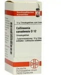 COLLINSONIA CANADENSIS D 12 Globuli 10 g