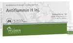 ANTIFLAMMIN H Inj.Ampullen 10 ml