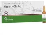 HEPAR HOM Inj.Ampullen 20 ml