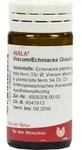 VISCUM ECHINACEA Globuli 20 g