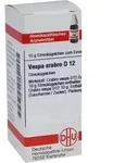 VESPA CRABRO D 12 Globuli 10 g